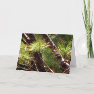 Carte La forêt réveillée