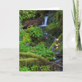 Carte La forêt tropicale automautomne | Parc national ol (Devant)