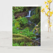 Carte La forêt tropicale automautomne | Parc national ol (Fleur jaune)