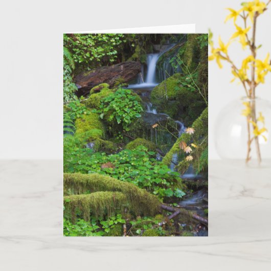 Carte La forêt tropicale automautomne | Parc national ol (Fleur jaune)