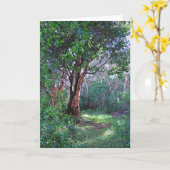 Carte La forêt tropicale hawaïenne (Fleur jaune)