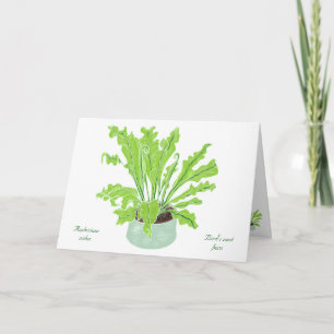 Carte La fougère de nid d'Asplenium Bird - en tirant sur