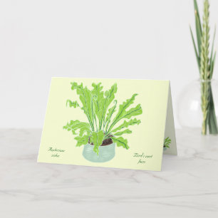 Carte La fougère de nid d'Asplenium Bird - en tirant sur