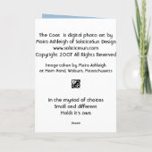 Carte La foulque maroule (Dos)