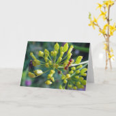 Carte La fourmi, la mouche et l'herbe (Fleur jaune)