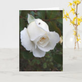 Carte La fourmi sur un blanc rose (Fleur jaune)