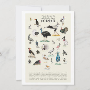 Carte La Galerie des Oiseaux délicieusement Doofy 5x7 Ca