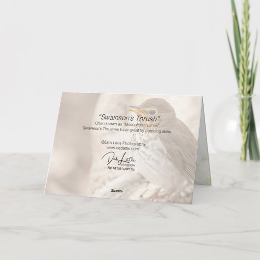 Carte La grive de Swainson (Dos)