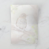 Carte La grive de Swainson (Intérieur)