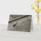 Carte La libellule rouge (Fleur jaune)