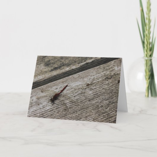 Carte La libellule rouge (Devant)