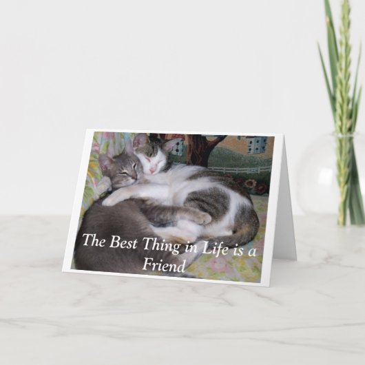 Carte La meilleure chose dans la vie est un ami. (Devant)