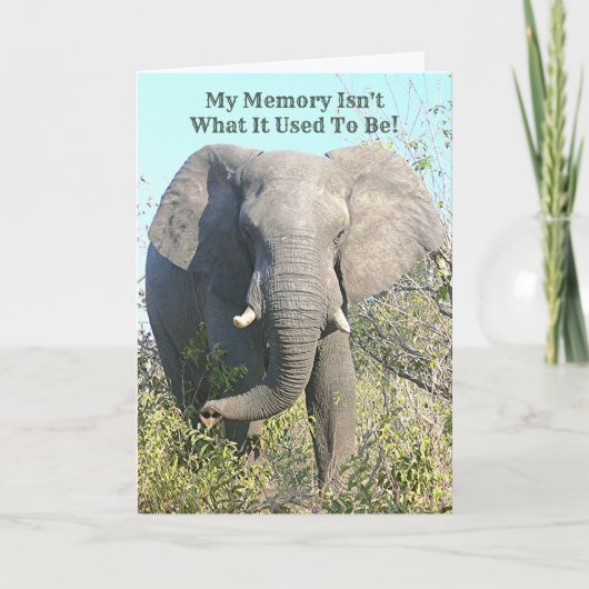 CARTE LA MÉMOIRE D'ELEPHANT/MY N'EST PAS CE QUI ÉTAIT (Devant)