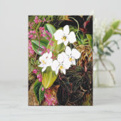 Carte La Moth Orchid malaisienne et un grimpeur américai (Debout devant)