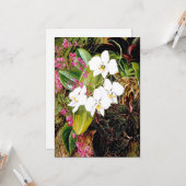 Carte La Moth Orchid malaisienne et un grimpeur américai (Devant/Arrière en situation)