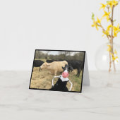 Carte La motilda dit "HAY !" (Fleur jaune)