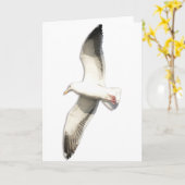 Carte La Mouette montante d'Helaine (Fleur jaune)