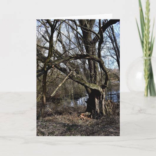 Carte La nature des Madowlands (Devant)