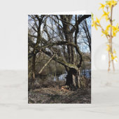 Carte La nature des Madowlands (Fleur jaune)