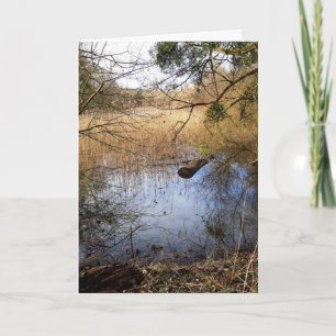 Carte La nature des Madowlands