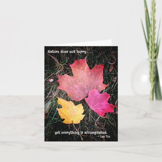 Carte La nature ne se précipite pas - tout est accompli (Devant)