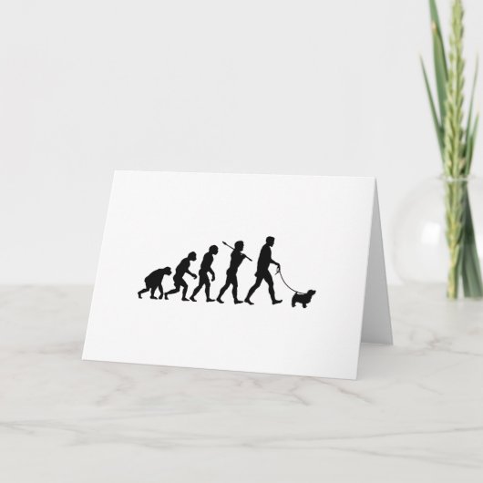 Carte La Norfolk Terrier (Devant)