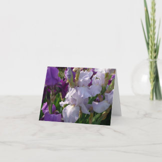 Carte La Nouvelle Journée de Garden