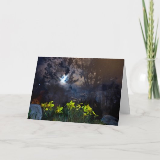 Carte la nuit nous appartient (Devant)