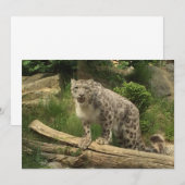 Carte La panthère (Devant / Derrière)