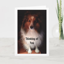 La pensée à vous cardent