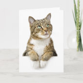 Carte La pensée à vous cardent (Devant)