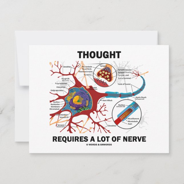 Carte La Pensée Requiert Beaucoup De Nerve (Synapse) (Devant)