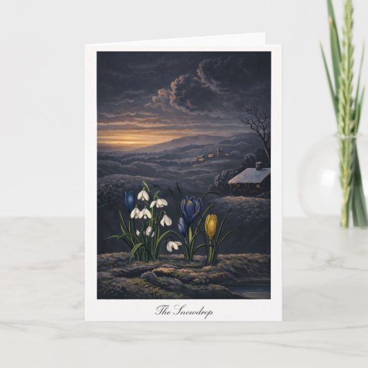 Carte La perce-neige — Réinterprétation botanique modern (Devant)