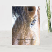 Carte La photographie d'âme de visage de cheval de gros  (Dos)