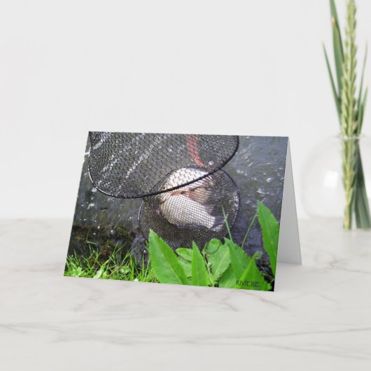 Carte La prise du jour de papa (Devant)