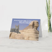 Carte La règle des chats ! (Dos)