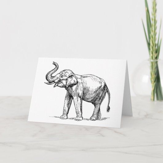 Carte La règle des éléphants (Devant)