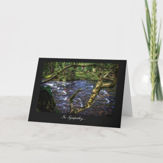 Carte La rivière Dart à Spitchwick - En sympathie (Devant)