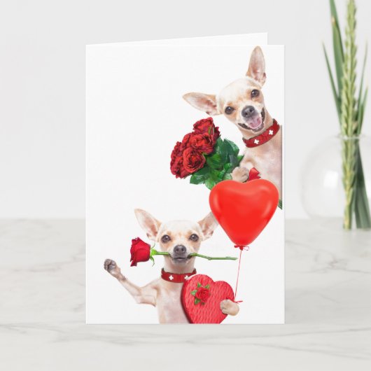 Carte La Saint-Valentin Cute Drôles de Chihuahuas avec d (Devant)