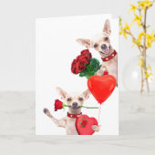 Carte La Saint-Valentin Cute Drôles de Chihuahuas avec d (Fleur jaune)