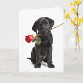Carte La Saint-Valentin de Black Lab (Fleur jaune)