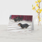 Carte La saucisse poursuit des courses (Fleur jaune)