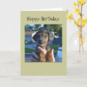 Carte La savane (Fleur jaune)