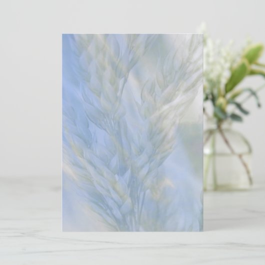 Carte La semence de vie (Debout devant)