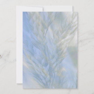 Carte La semence de vie