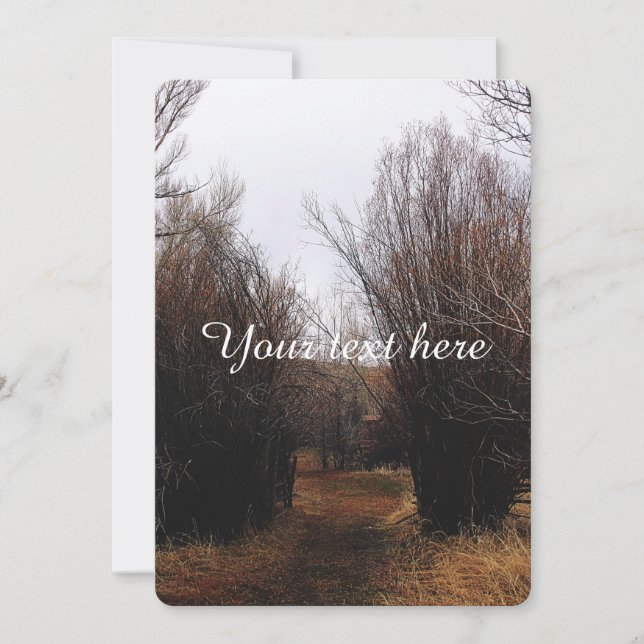 Carte La surcroissance de Bannack en chute libre (Devant)