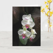 Carte La sympathie assez blanche d'orchidées ou vous (Fleur jaune)