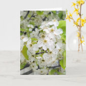 Carte La sympathie fleurit dans l'arbre de pomme de crab (Fleur jaune)