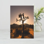 Carte La tombée de la nuit commence à Joshua Tree (Debout devant)