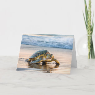Carte La tortue de mer à pied une plage d'océan